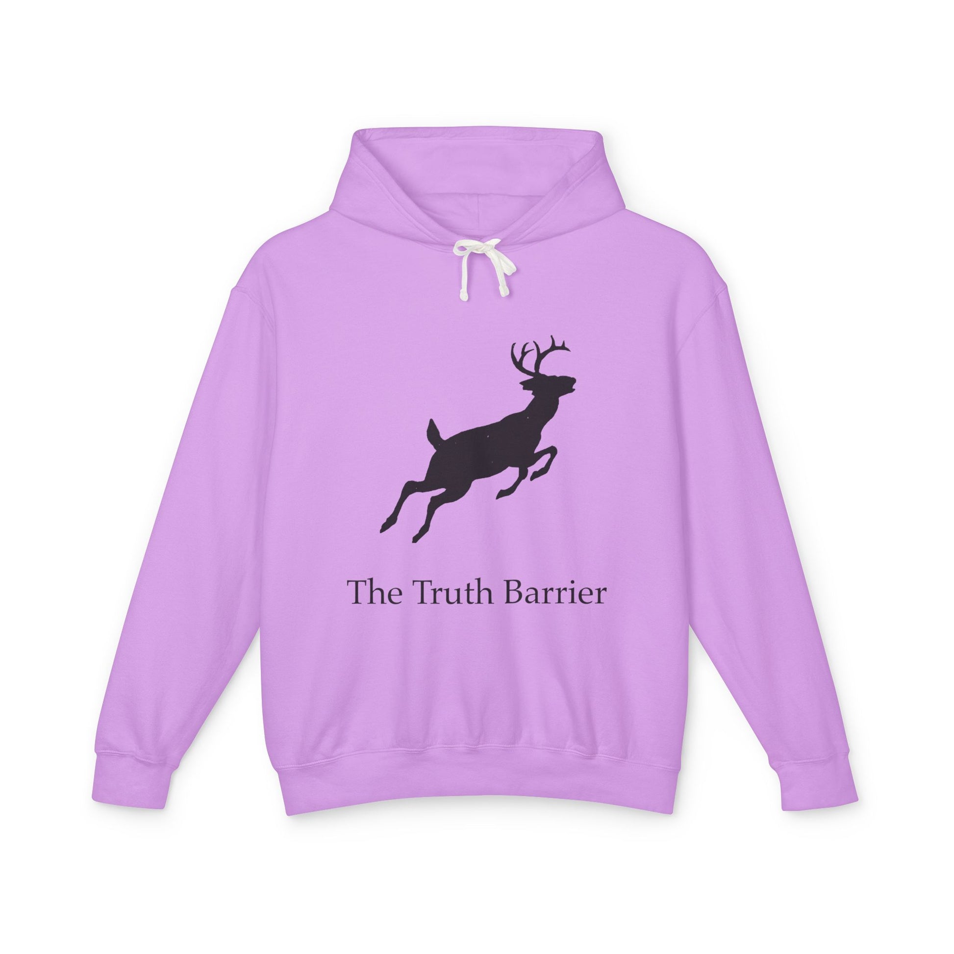 Truth Barrier Hoodie
