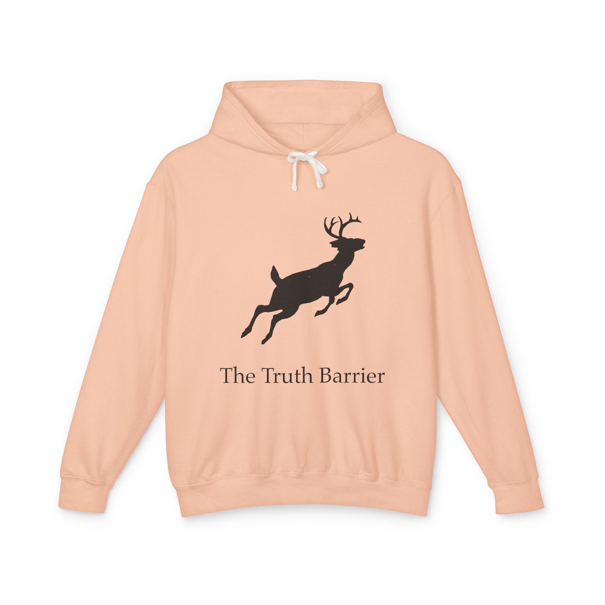Truth Barrier Hoodie