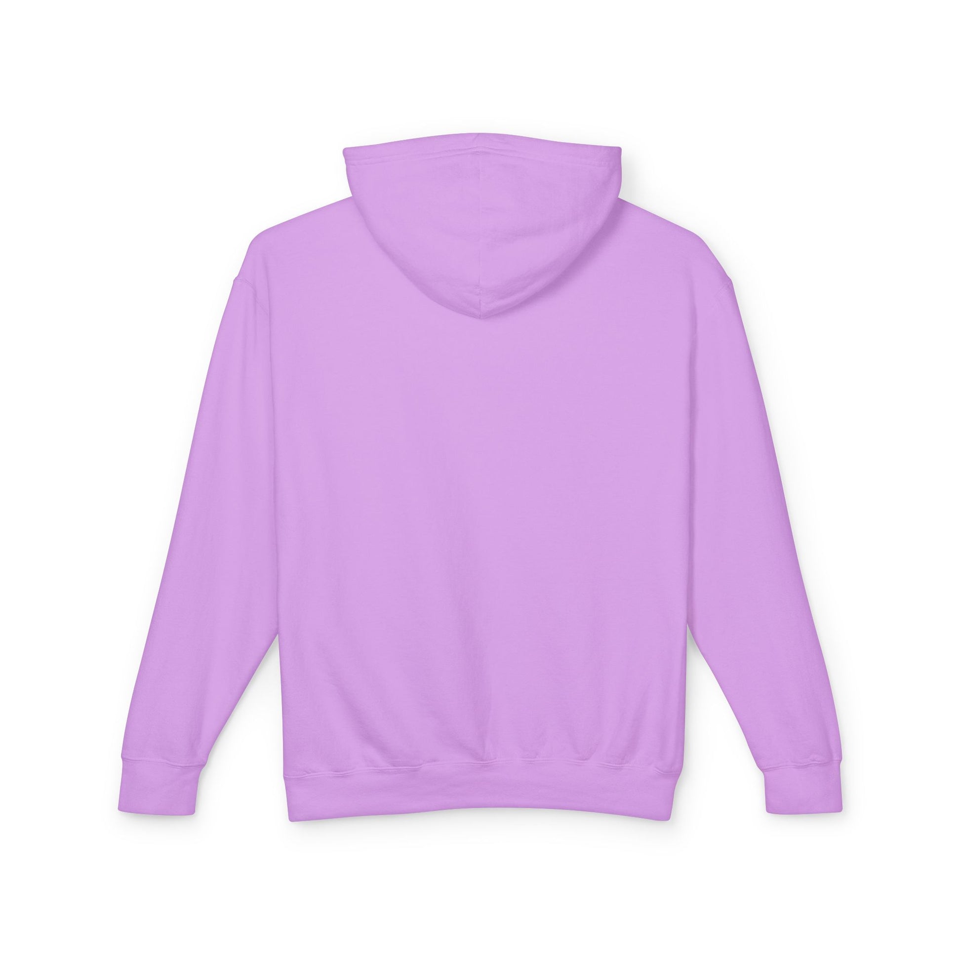 Truth Barrier Hoodie