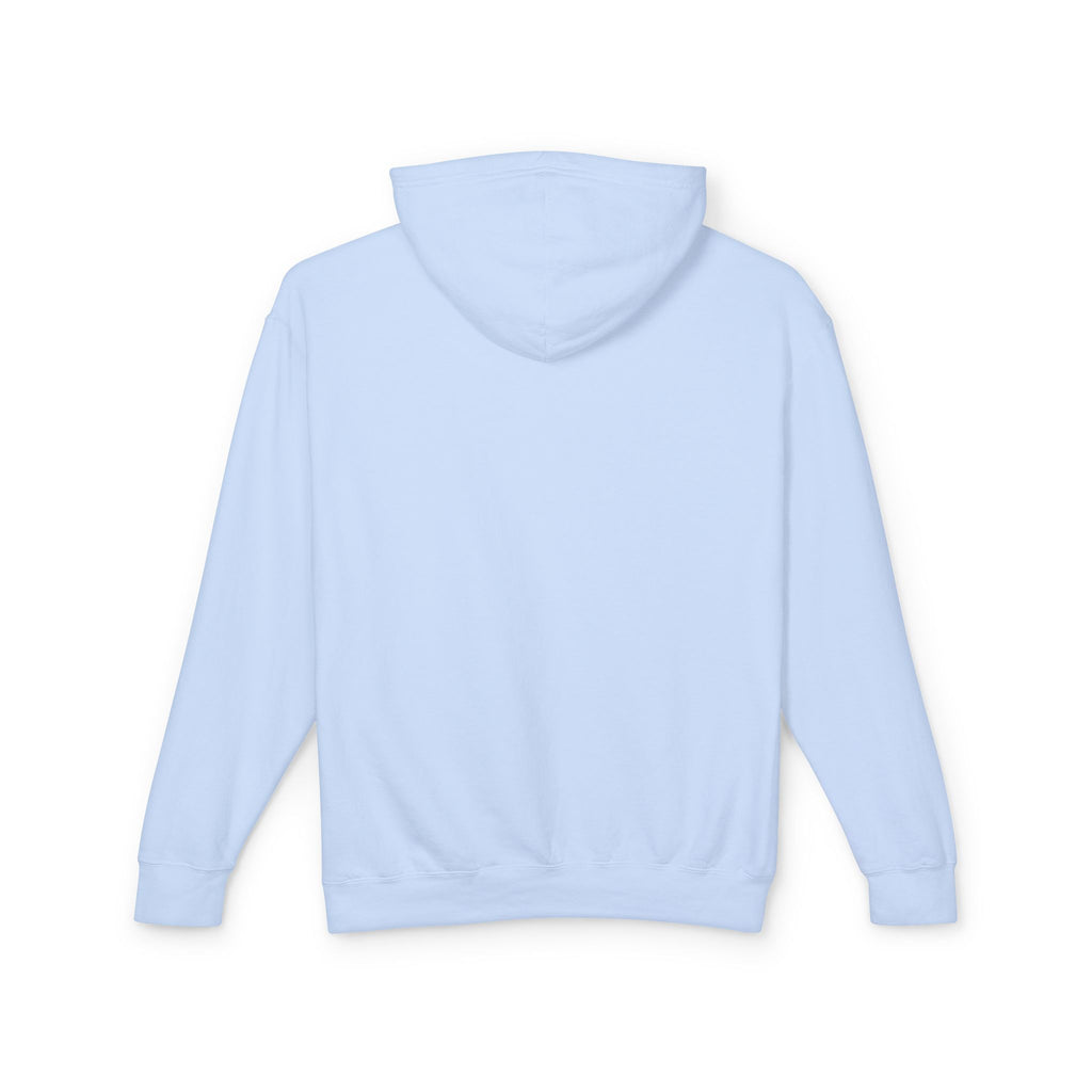 Truth Barrier Hoodie