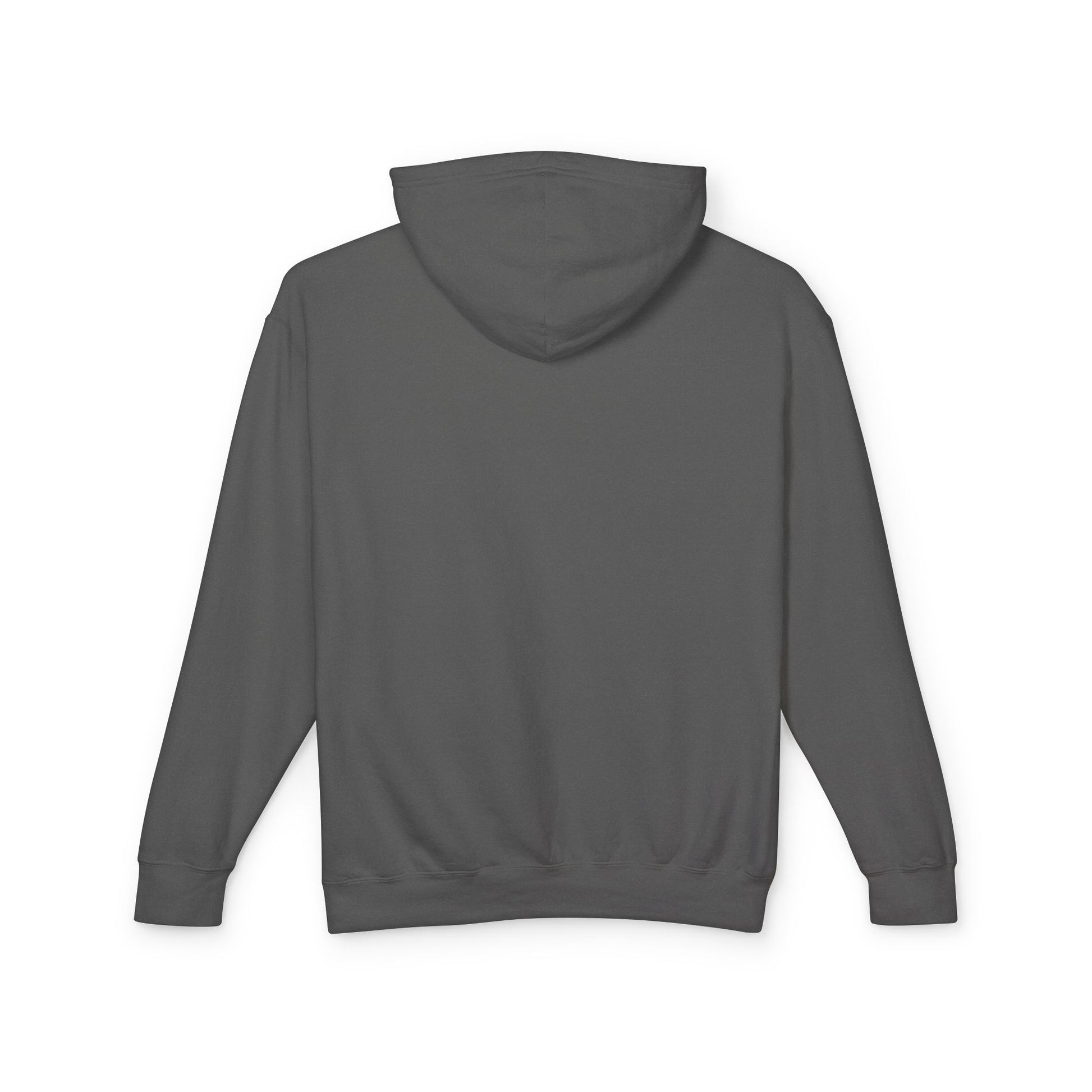 Truth Barrier Hoodie