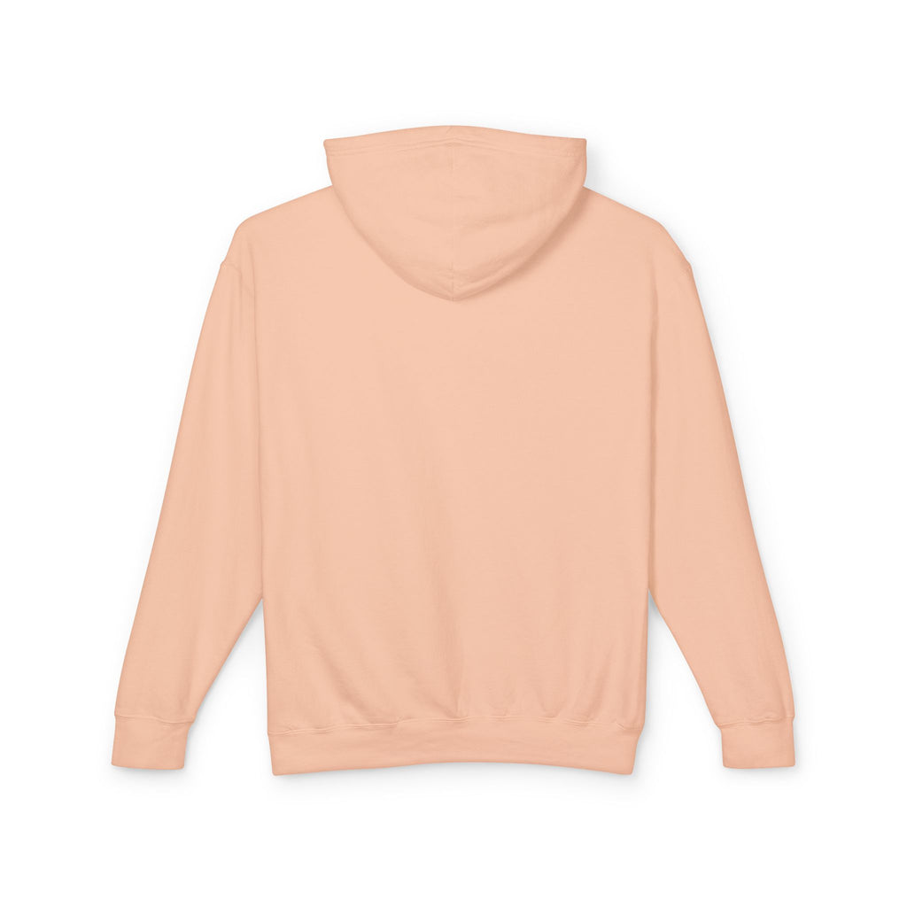 Truth Barrier Hoodie
