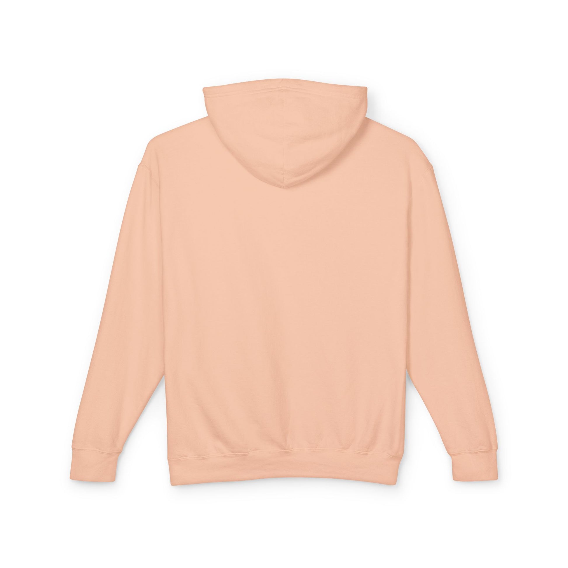 Truth Barrier Hoodie