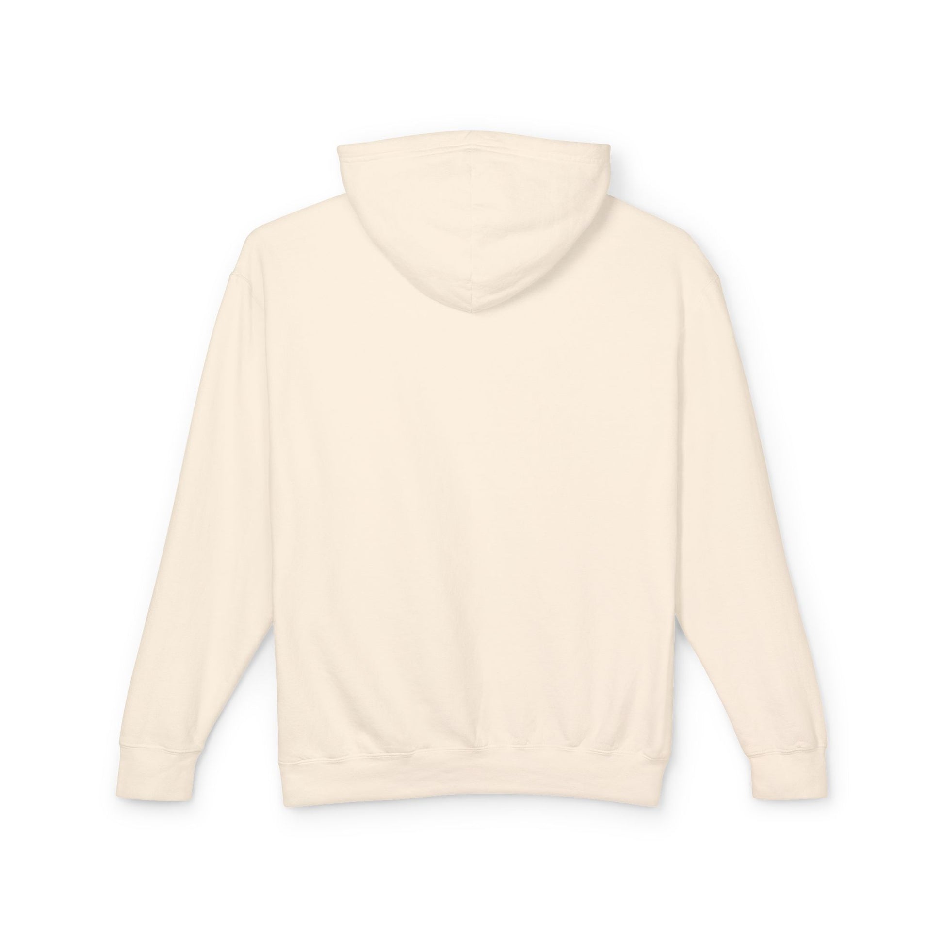 Truth Barrier Hoodie